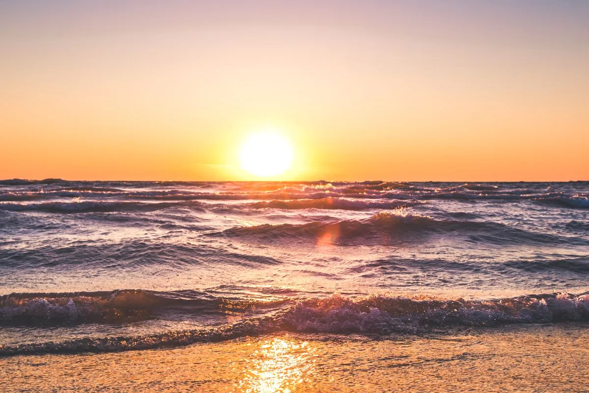 Car Rental in Morjim — Turtle Beach Guide